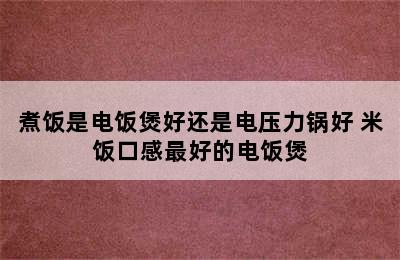 煮饭是电饭煲好还是电压力锅好 米饭口感最好的电饭煲